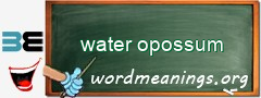 WordMeaning blackboard for water opossum